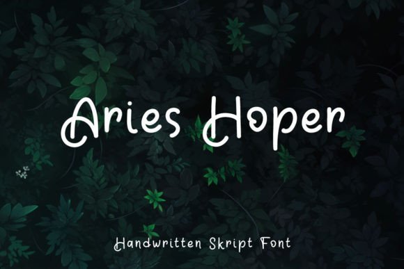 Aries Hoper Font Review: Boosting Campaign Visuals