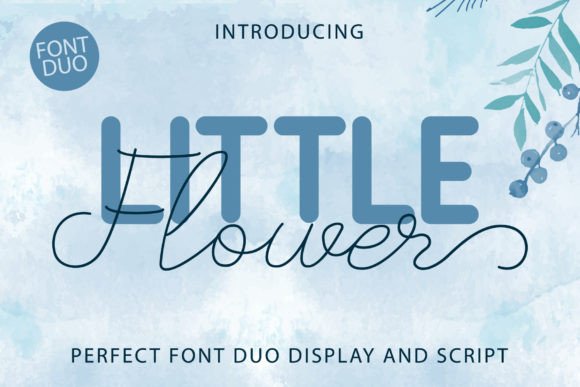 Little Flower Duo Font Review: A Playful Script for Branding